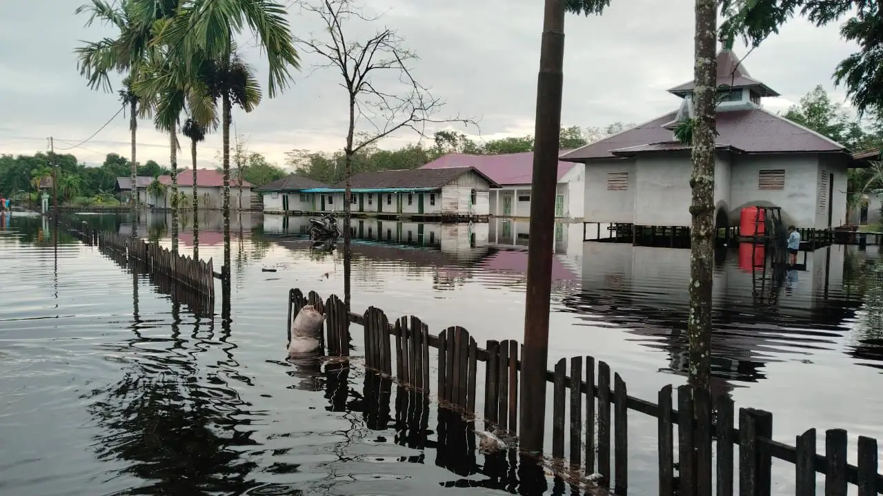 Perkembangan Situasi dan Penanganan Bencana Tanggal 1 Februari 2025